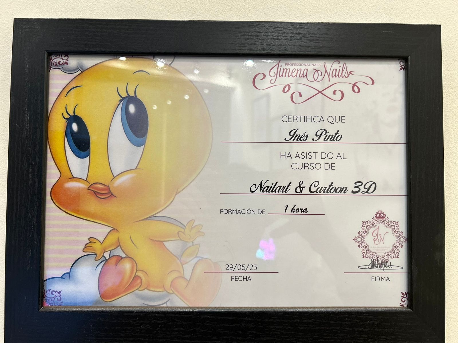 Certificado 1